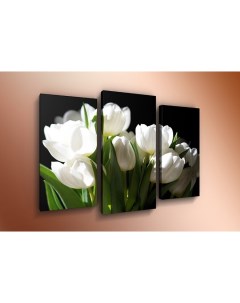 Модульная картина триптих Белые тюльпаны ТР48 60x80 см Добродаров