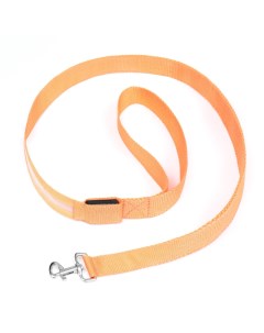 Поводок для собак с подсветкой оранжевый текстиль 120 х 2 5 см Пижон