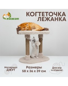 Когтеточка для кошек Пижон c лежанкой овальная с двумя столбиками 58х36х39 см Nobrand