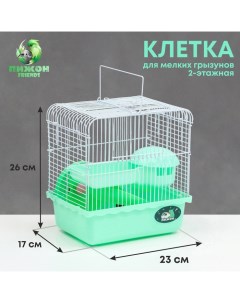 Клетка для грызунов эмаль 23 х 17 х 26 см зелёная Пижон