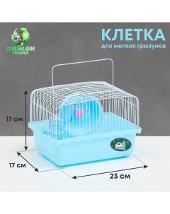 Клетка для грызунов 23 х 17 х 17 см голубая Пижон