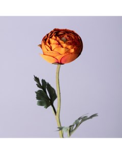 Цветок Ранункулюс 50 см Lefard