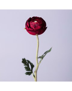 Цветок Ранункулюс 50 см Lefard