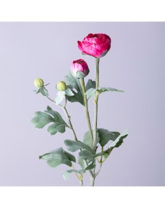 Цветок Ранункулюс 55 см Lefard