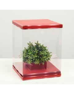 Коробка для цветов с вазой OMG GIFT складная 23 х 30 х 23 см красный Кнр