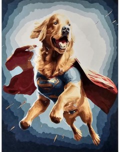 Картина по номерам Собака супермен холст на подрамнике 40x50 см OK11451 Paintboy
