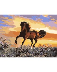 Картина по номерам Грациозный бег коня 30х40 см Школа талантов