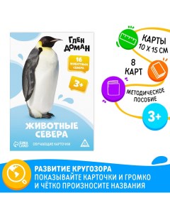 Обучающие карточки по методике глена домана Лас играс