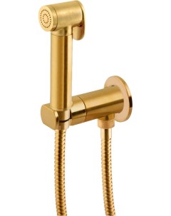 Гигиенический душ X Style N64W со смесителем С ВНУТРЕННЕЙ ЧАСТЬЮ золото брашированное Remer