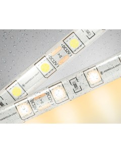 Светодиодная лента Illumination GS2101 5050 60Led 14 4W m 12V IP65 3000K 5m Ambrella