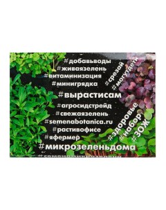 Набор для выращивания микрозелень Рукола 3 5 г Аст