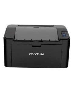 Лазерный принтер P2500 STJP1000839 Pantum