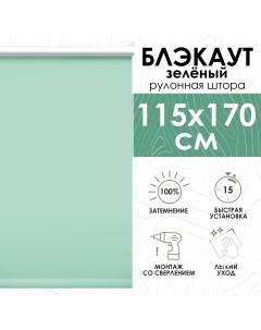 Рулонные шторы Lux блэкаут 115х170 см зеленый Эскар