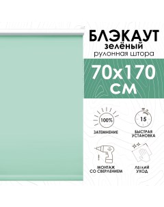 Рулонные шторы Lux блэкаут 70х170 см зеленый Эскар