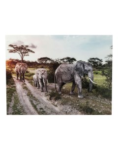 Картина Семья слонов 160 х 120 см Kare