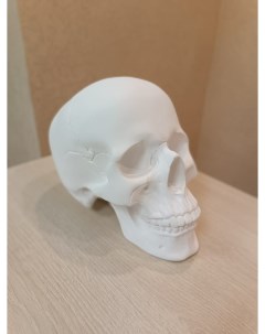 Копилка интерьерная череп Мастерская декора