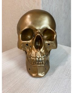 Статуэтка интерьерная череп бронзовый Мастерская декора
