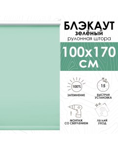 Рулонные шторы блэкаут 100х170 см Lux зеленый Эскар