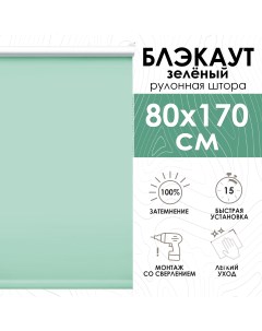 Рулонные шторы блэкаут 80х170 см Lux зеленый Эскар