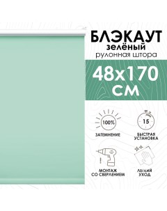 Рулонные шторы Lux блэкаут 48х170 см зеленый Эскар