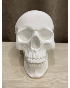 Статуэтка интерьерная череп Мастерская декора