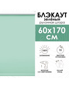 Рулонные шторы Lux блэкаут 60х170 см зеленый Эскар