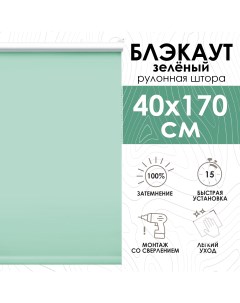 Рулонные шторы Lux блэкаут 40х170 см зеленый Эскар