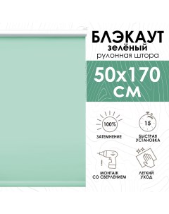 Рулонные шторы Lux блэкаут 50х170 см зеленый Эскар