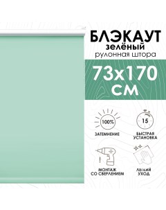 Рулонные шторы Lux блэкаут 73х170 см зеленый Эскар