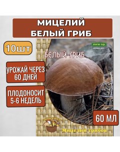 Мицелий грибов Белый гриб на компосте 336036239 60 мл набор 10 шт Агрохолдинг поиск
