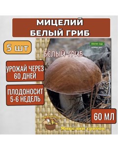 Мицелий грибов Белый гриб на компосте 336036241 60 мл набор 5 шт Агрохолдинг поиск