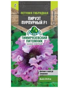 Семена петуния Пируэт Пурпурный F1 1 уп Тимирязевский питомник