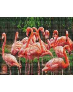 Алмазная мозаика Фламинго в озере Рыжий кот