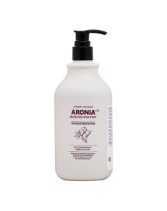 Pedison Маска для волос Арония Institute beaut Aronia Color Protection Treatment 500 Evas