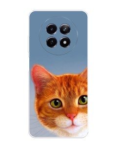 Чехол на Realme 12 5G Любопытный котик Nobrand