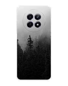 Чехол на Realme 12 5G Туманный лес Nobrand