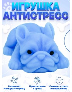 Сквиш игрушка тянучка антистресс собака синяя 4corner