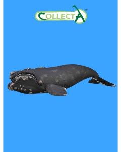 Фигурка животного Южный кит Collecta