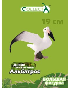 Фигурка животного Странствующий альбатрос L Collecta