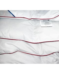 Одеяло пуховое Прованс 200х220 евро кассетное Diego