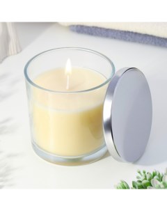 Свеча ароматическая в стакане Vanilla lime ванильный лайм 10х10 см Богатство аромата