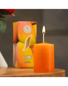 Свеча ароматическая Манго 4x6 см в коробке Богатство аромата