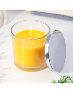Свеча ароматическая в стакане Fruit fusion фруктовое слияние 10х10 см Богатство аромата