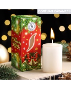 Свеча ароматическая новогодняя Исполнение желаний соленая карамель 4x6 см в коробке Богатство аромата