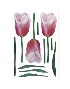 Тюльпаны Наклейки для интерьера HD 1004 Стрекоза
