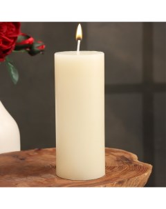 Свеча цилиндр ароматическая Гардения жасминовидная 6х15 см Nobrand