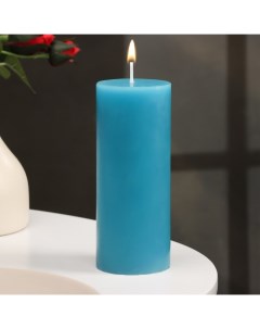 Свеча цилиндр ароматическая Черника 6х15 см Nobrand