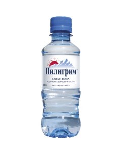 Вода питьевая негазированная 0 25 л Пилигрим