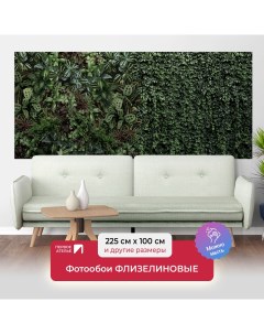 Фотообои флизелиновые Зеленая стена растений 225х100 см ШхВ Первое ателье