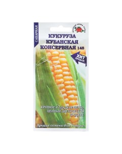 Семена Кукуруза Кубанская консервная 5 г 4 шт Nobrand